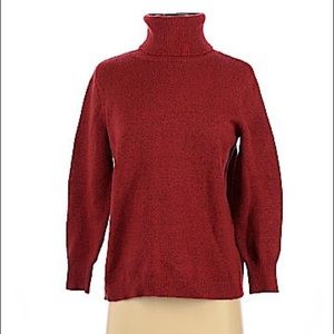 Joie Turtleneck Sweater